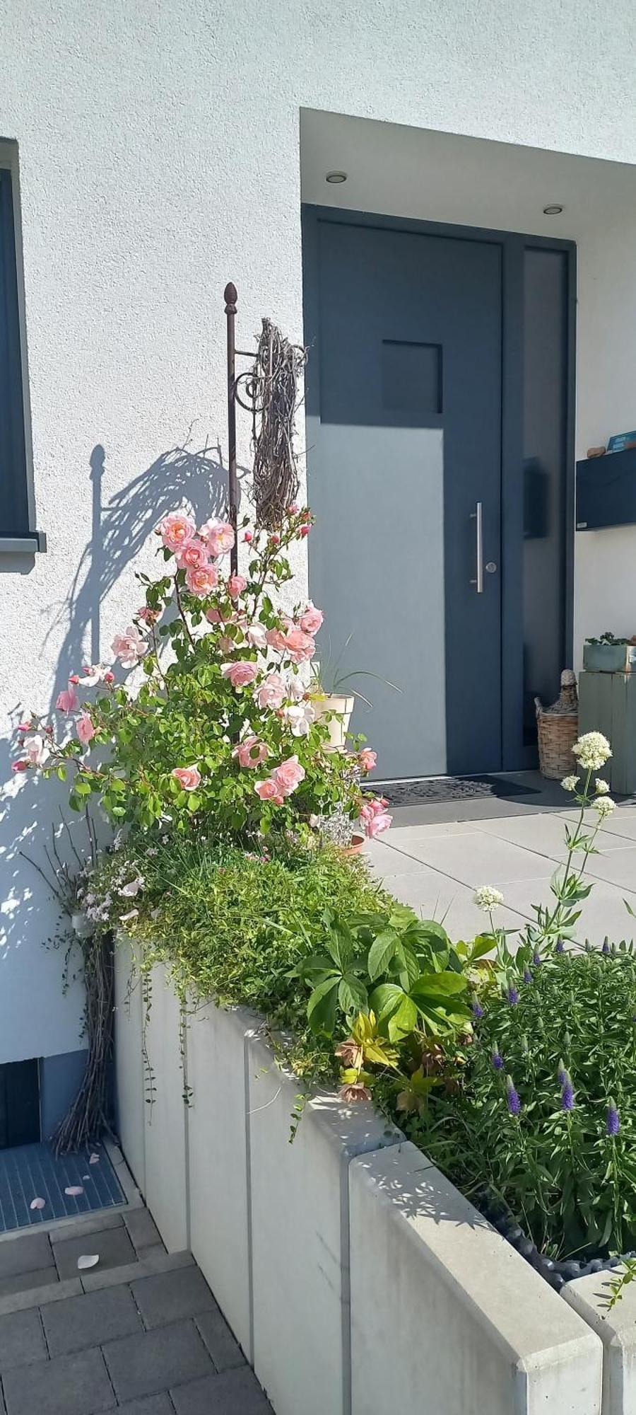 בריטצינגן Ferienwohnung Rebgaertle מראה חיצוני תמונה